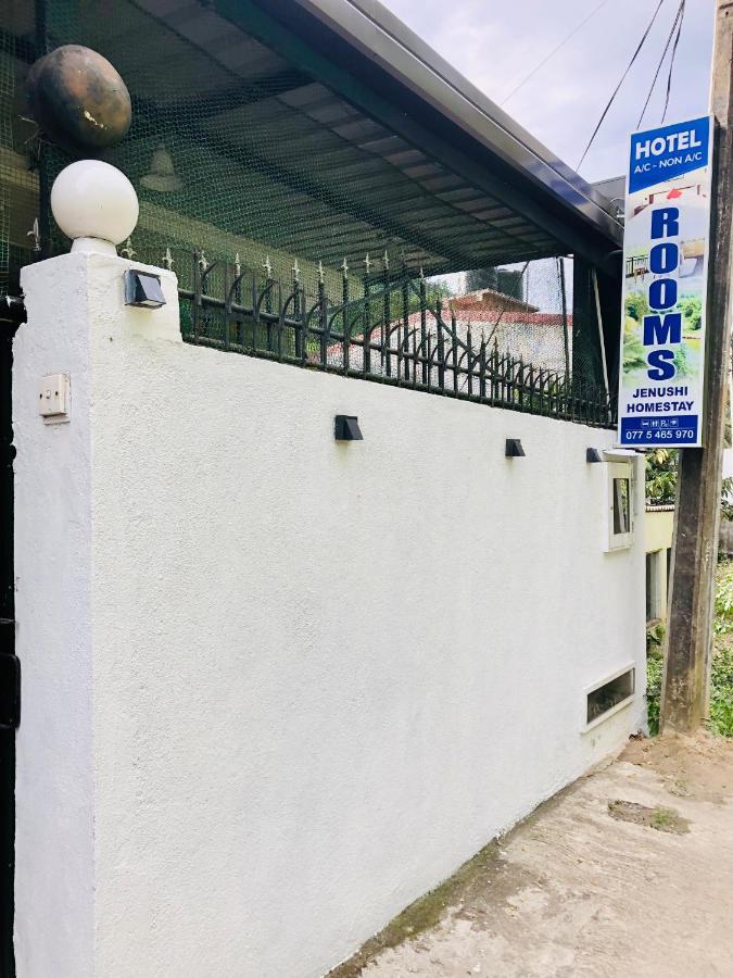 Jenushi Homestay キャンディー エクステリア 写真
