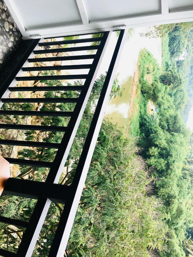 Jenushi Homestay キャンディー エクステリア 写真