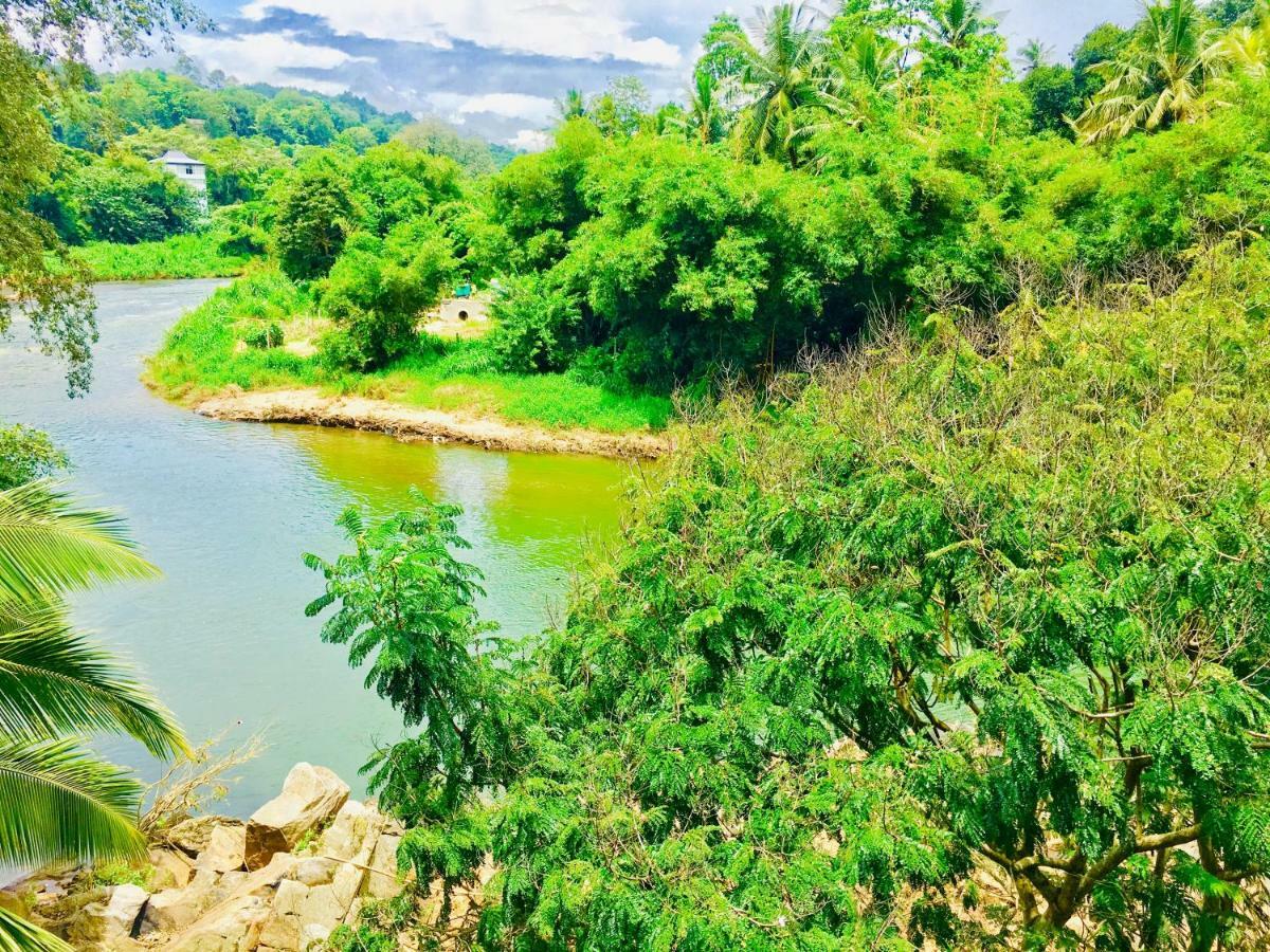 Jenushi Homestay キャンディー エクステリア 写真